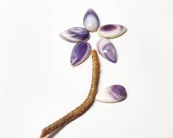 6qty- 10x18mm Wampum Teardrop *promo photo