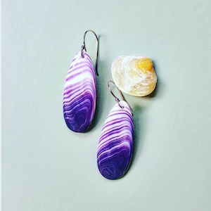 May include: A pair of earrings made from purple and white seashells. The earrings are oval shaped and have a silver hook.