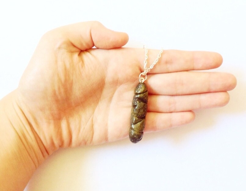 Cat Poop Necklacekitty Poop Necklacerealistic Poop Etsy