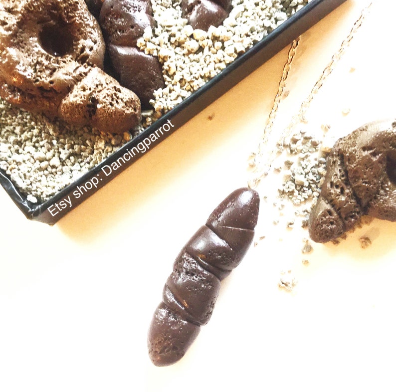 Cat Poop Necklacekitty Poop Necklacerealistic Poop Etsy