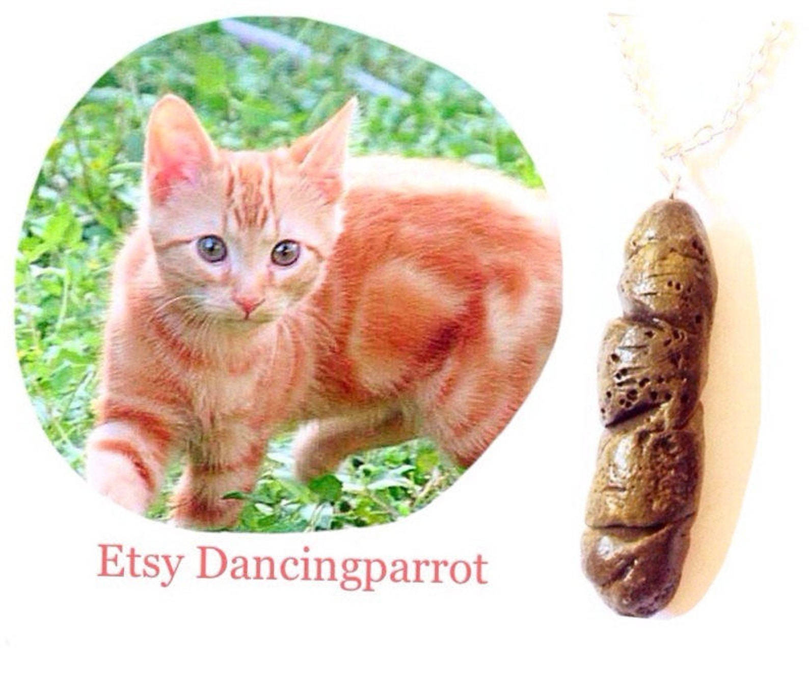 Cat Poop Necklacekitty Poop Necklacerealistic Poop Etsy