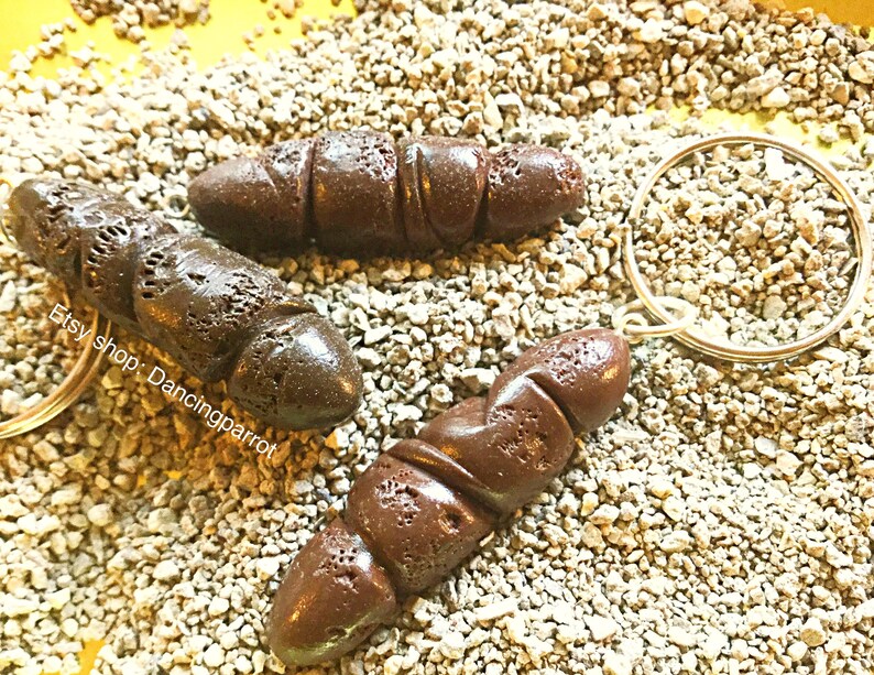 Cat Poop Keychain Handmade Poop Keychain Poop Accessories Etsy