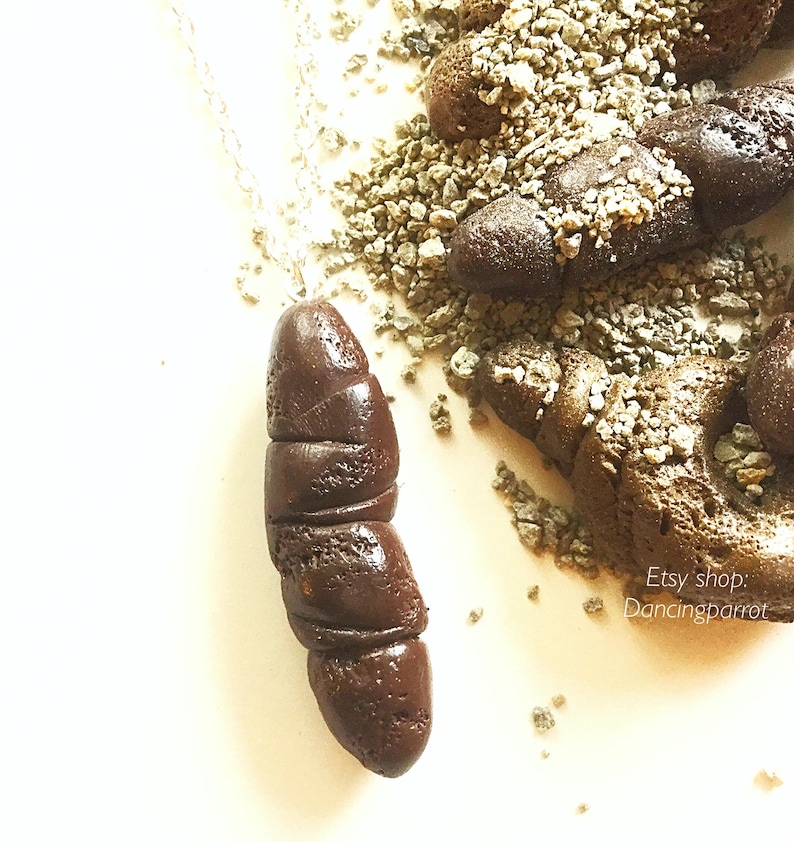 Cat Poop Necklacekitty Poop Necklacerealistic Poop Etsy