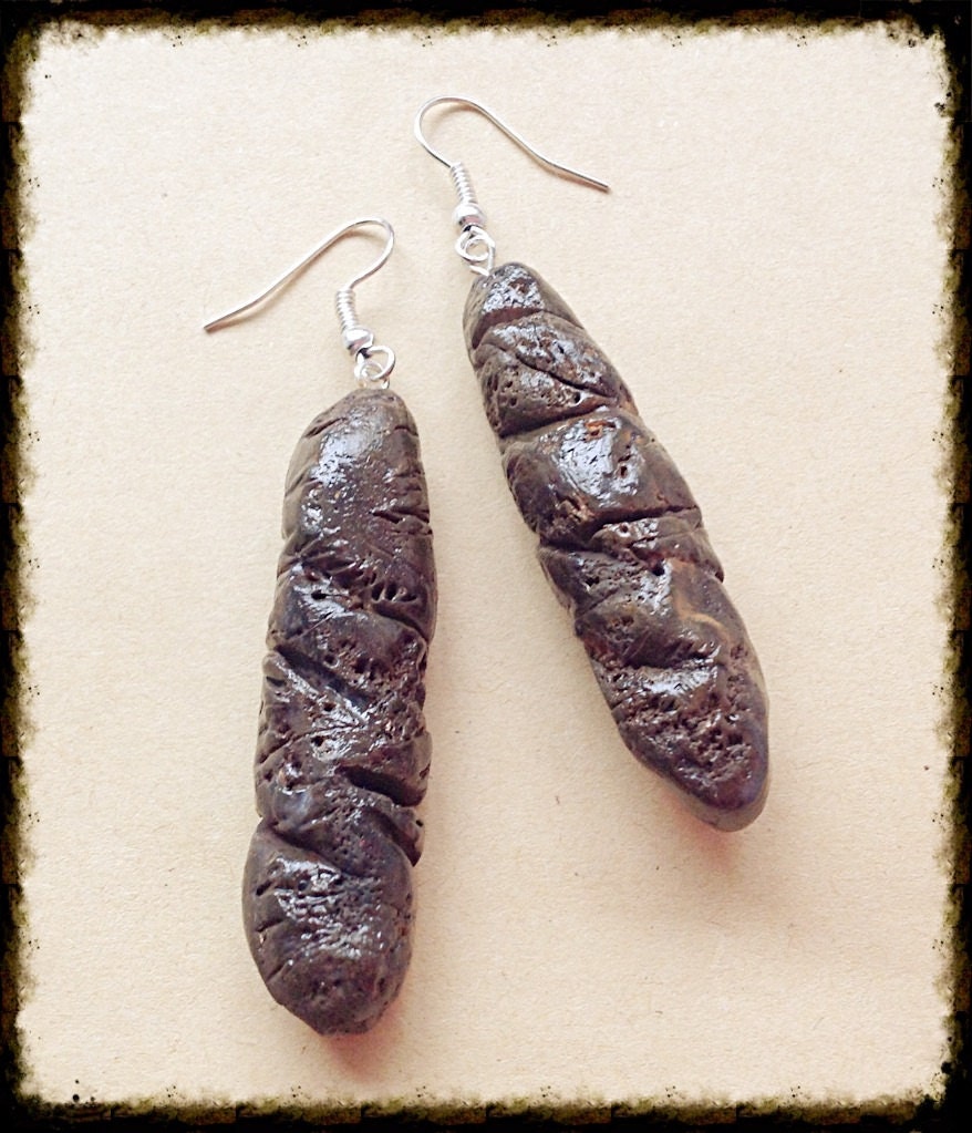 Cat Poop Earringskitty Poop Earringsrealistic Poop Etsy