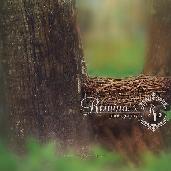 Digital Newborn Backdrop/Nest/Digital Outdoor Prop/Birdnest digital prop/newborn background/green woods/digital download