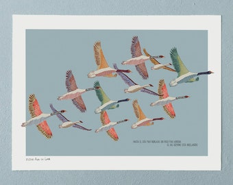 BIRDS limited edition print,wall art, birds illustration, size A4