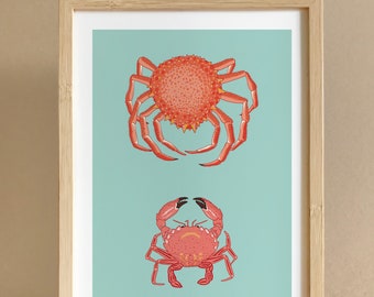 limited edition print illustration drawing A4, Crab Art Print, Crab Wall Art, Crab Print, Sea Life, Ocean Art Print, Seafood Restaurant Art