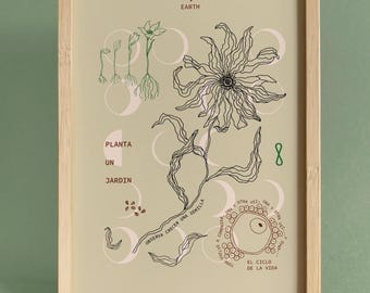 EARTH, seeds, limited edition print, wall art, size A4
