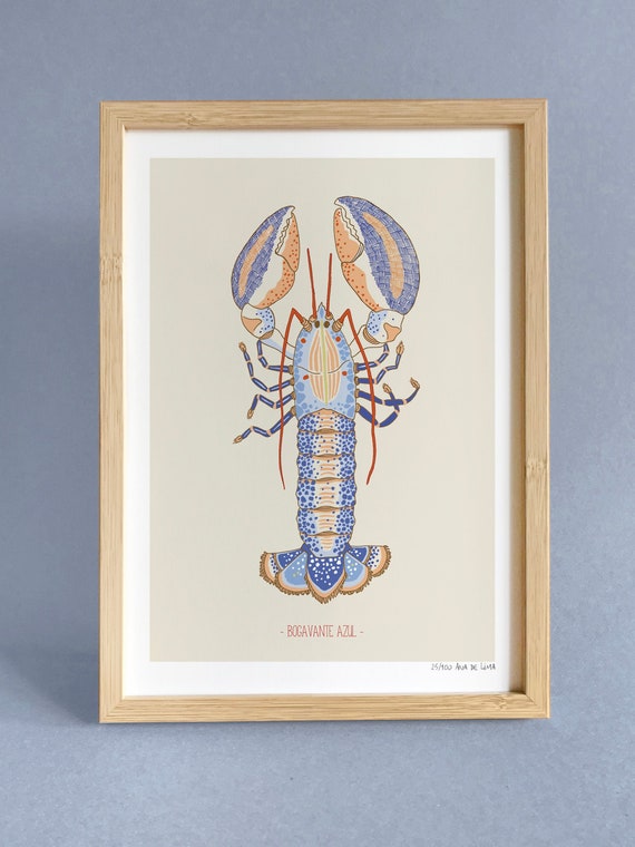 Limited Edition Print Illustration Drawing blue Lobster | Etsy