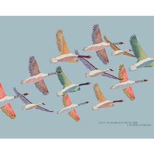 illustration limited edition inkjet print ,BIRDS, 30x40cm image 4