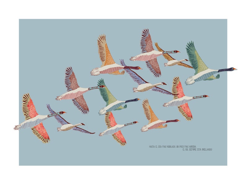 May include: A colorful illustration of a flock of geese flying in formation against a light blue sky. The geese are depicted in various shades of pink, orange, yellow, green, and blue. The text "Hasta el d&iacute;a m&aacute;s nublado un poco m&aacute;s arriba el sol siempre est&aacute; brillando" is written at the bottom of the image.