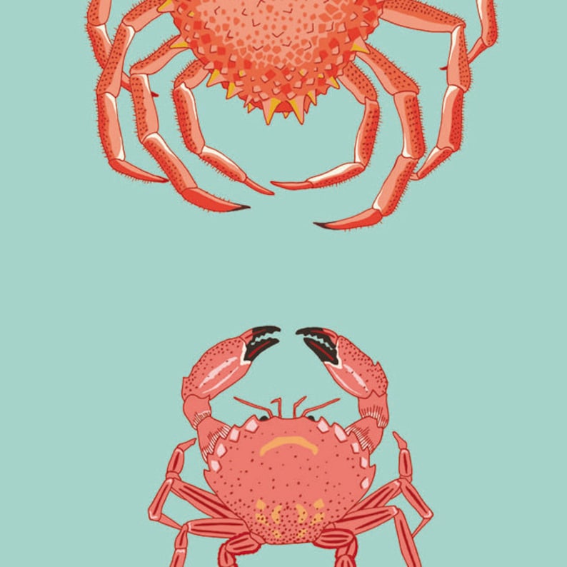 Puede incluir: Ilustraci&oacute;n estilizada de dos cangrejos rojos con texturas detalladas y puntas de garras negras sobre un fondo azul claro. Los cangrejos se representan de forma art&iacute;stica, mostrando sus pinzas y detalles corporales.