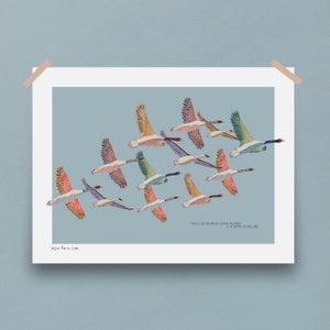 May include: A colorful print of a flock of geese flying in formation against a light blue background. The print features a variety of colors, including pink, orange, yellow, green, and blue. The text "NATA CI, OSA PNE MIRALADO, UN POCITO MAS ARRIBA, EL 28 DE SEPTIEMBRE DEL MILLENARIO" is printed at the bottom of the print.