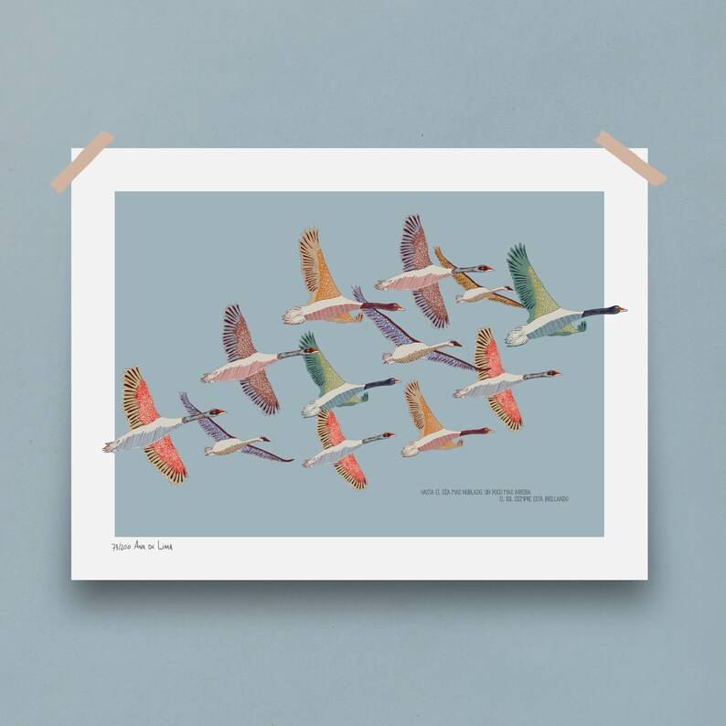May include: A colorful print of a flock of geese flying in formation against a light blue background. The print features a variety of colors, including pink, orange, yellow, green, and blue. The text "NATA CI, OSA PNE MIRALADO, UN POCITO MAS ARRIBA, EL 28 DE SEPTIEMBRE DEL MILLENARIO" is printed at the bottom of the print.