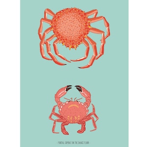 Puede incluir: Ilustraci&oacute;n de dos cangrejos rojos sobre un fondo azul claro. El cangrejo superior se ve desde arriba, mientras que el cangrejo inferior est&aacute; mirando hacia adelante con sus pinzas levantadas. El texto "MORTAL COMBAT ON THE DANCE FLOOR" est&aacute; en la parte inferior.