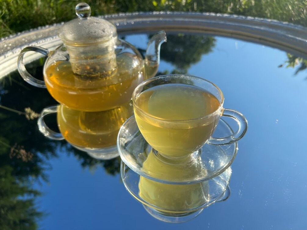 GUT RESTORE TEA Marshmallow Root Heal Lining Constipation Bloating