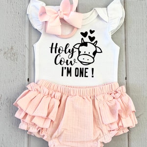 Holy Cow I'm one 1st birthday, Cow First Birthday Outfit Girl, 1st Birthday Outfit Girl, One Birthday outfit, 1st birthday set,