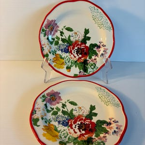 2 Pioneer Woman Country Garden Salad Plates
