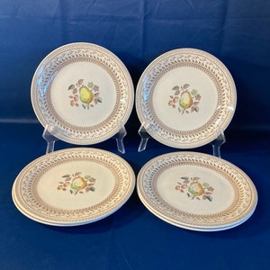 6 Johnson Brothers Fruit Sampler Dinner Plates