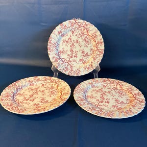 Johnson Brothers Old Bradbury - Etsy