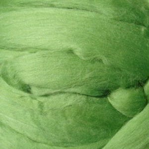 Merino Wool Roving, Ashland Bay, 4oz, Light Green, Spinning Fiber, spinning supplies, Kiwi Color