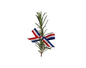 Ruban croate pour ruzmarine, romarin ou autre décoration de mariage, rouge blanc bleu, 25 m