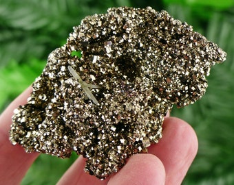 May include: A cluster of pyrite crystals with a metallic gold color. The surface is covered in small, sparkling cubic crystals. A small, light-colored crystal formation is embedded within the pyrite. The background is a blurred green.