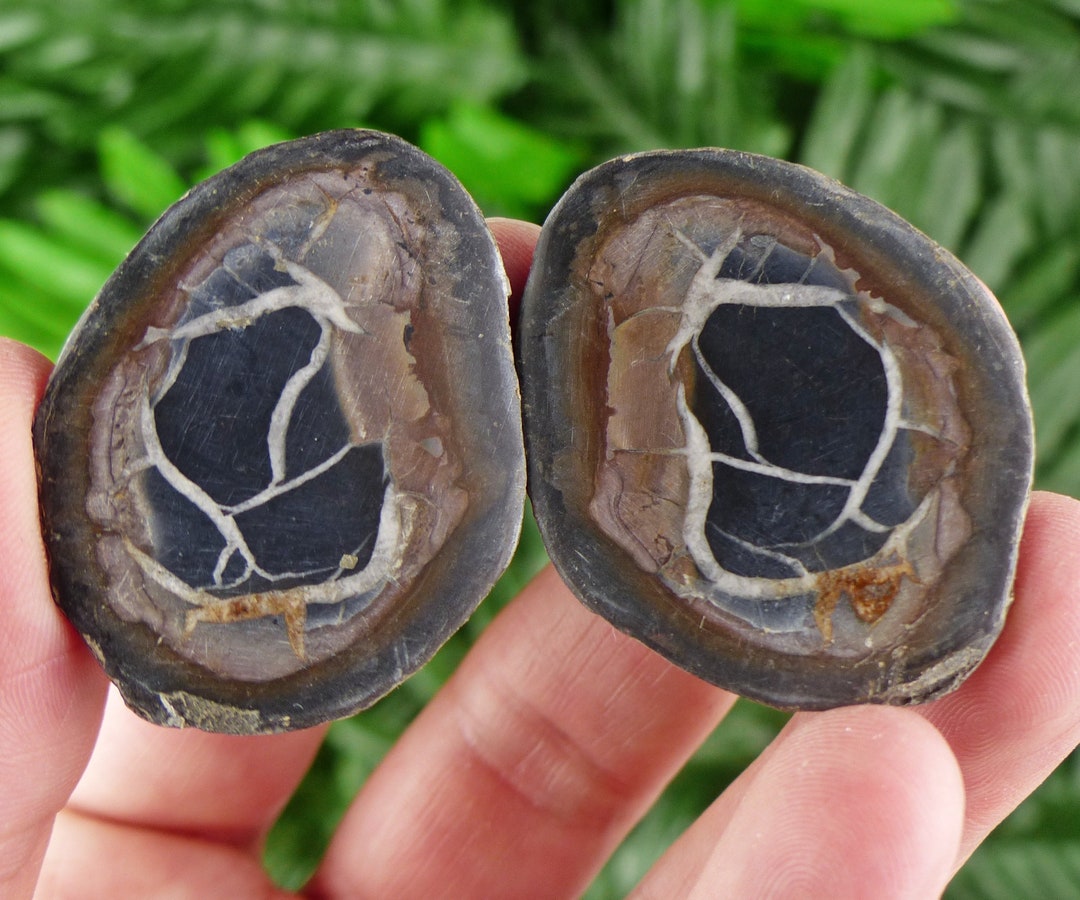 Dragonstones Pair, Septarian Nodule Geode, Septaria, Dragonstone ...