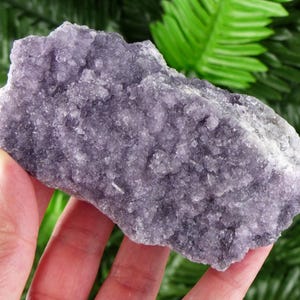 Peut inclure: Une main tient un grand amas de cristaux de couleur lavande et à la texture rugueuse. Le cristal a un aspect granuleux avec une zone légèrement plus claire, presque blanche, sur un côté. Le feuillage vert est visible en arrière-plan.