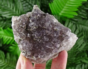 Rare Bulgarian Amethyst with Pyrite, Purple Crystals, Mineral, Raw Crystals, Healing Crystals and Stones, Pyrite, Amethyst B98