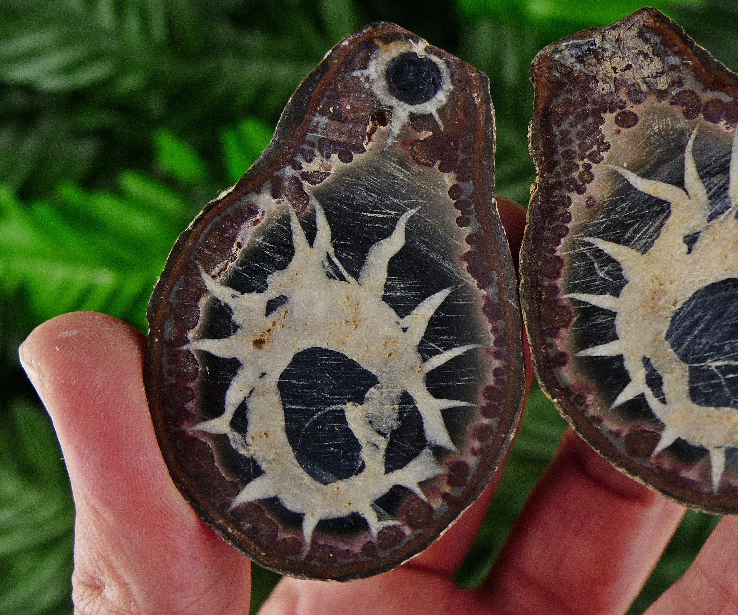 Septaria Geode Dragonstones Pair, Septarian Nodule Geode, Septaria, Dragonstone ...