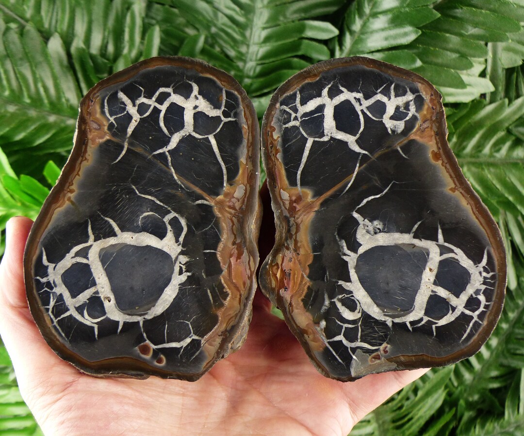 Rare Dragonstones Pair, Septarian Nodule Geode, Septaria, Dragonstone ...