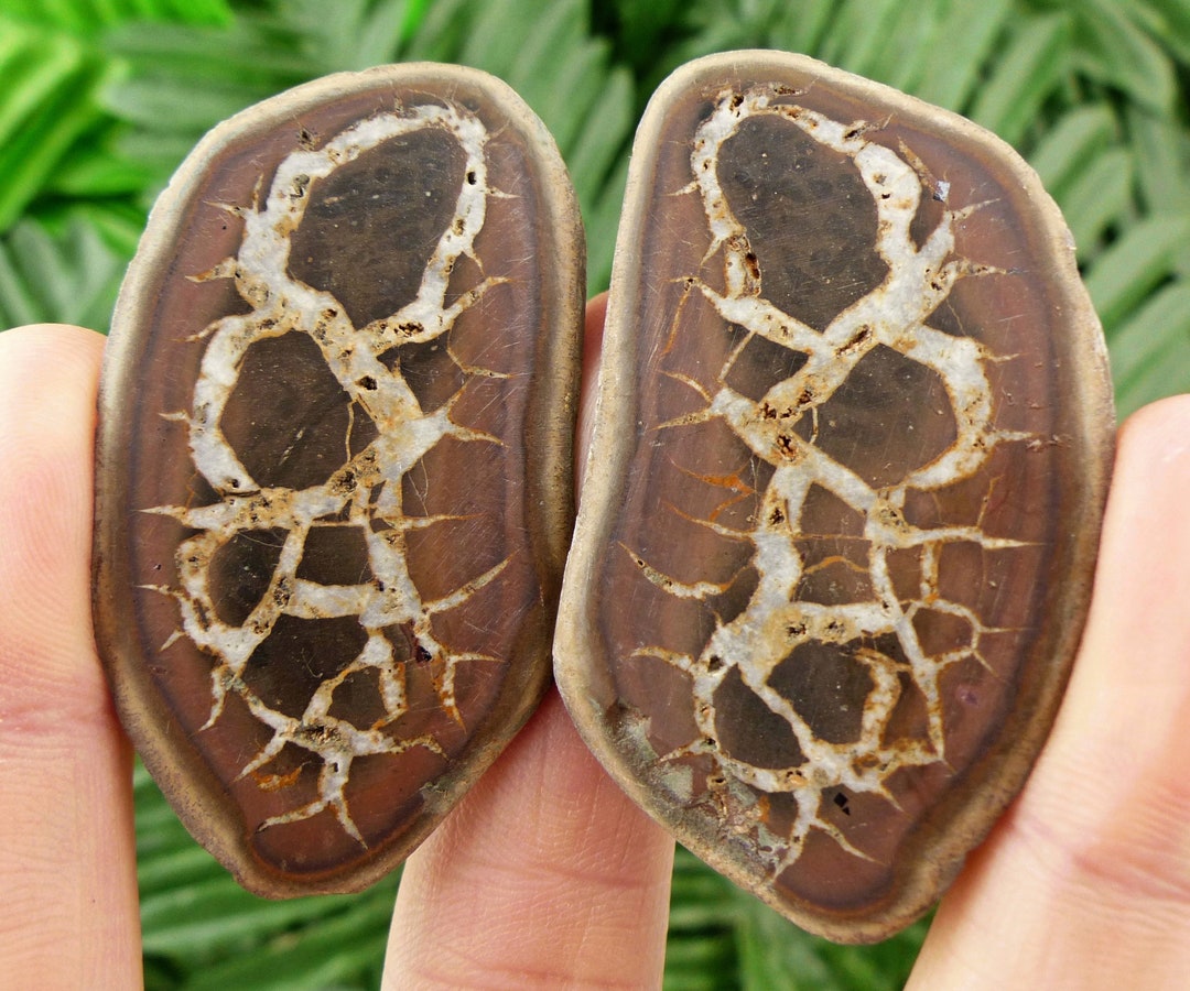 Dragonstones Pair, Septarian Nodule Geode, Septaria, Dragonstone ...