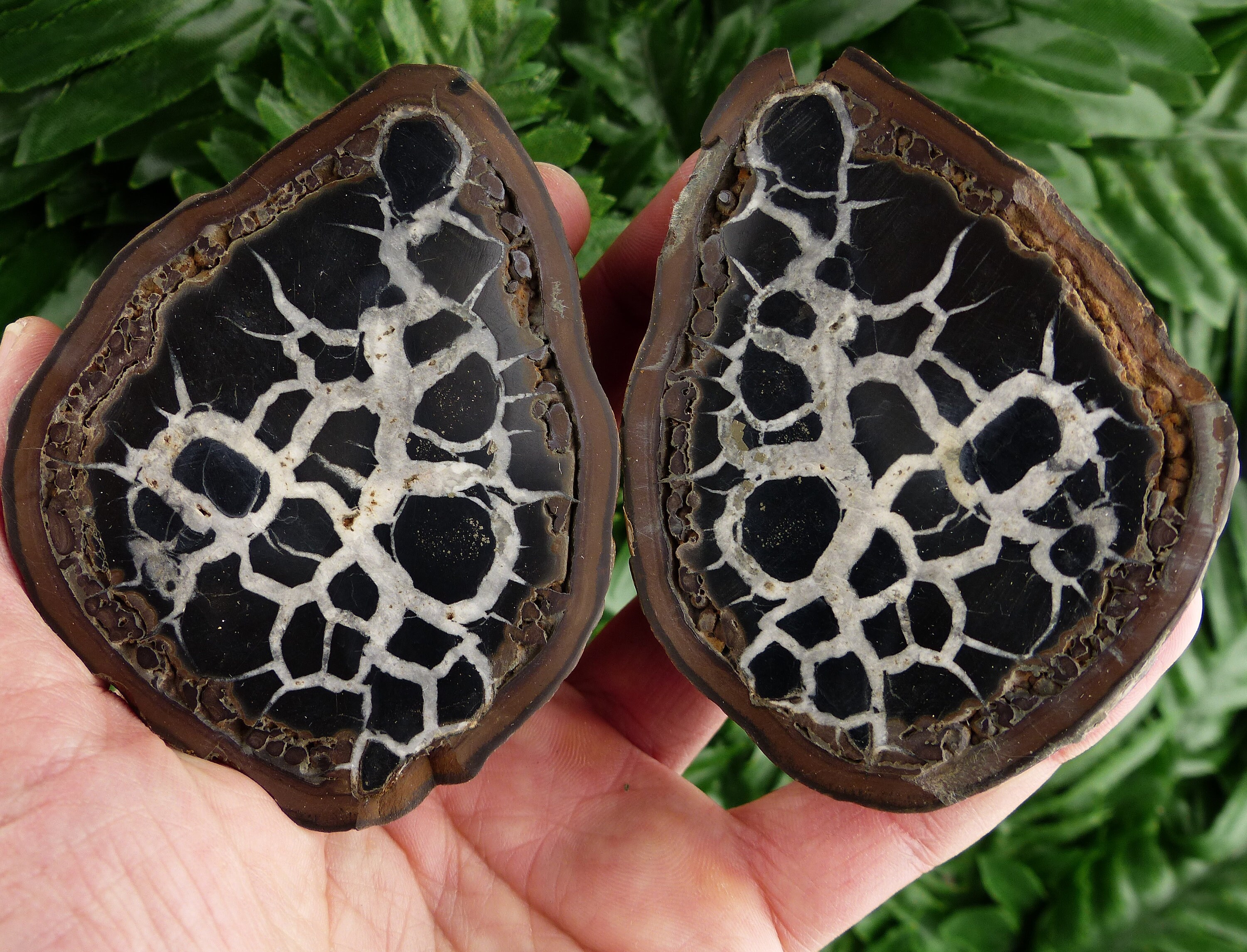 Home Décor Home & Living Dragonstone Dragon Stone Healing Stone ...