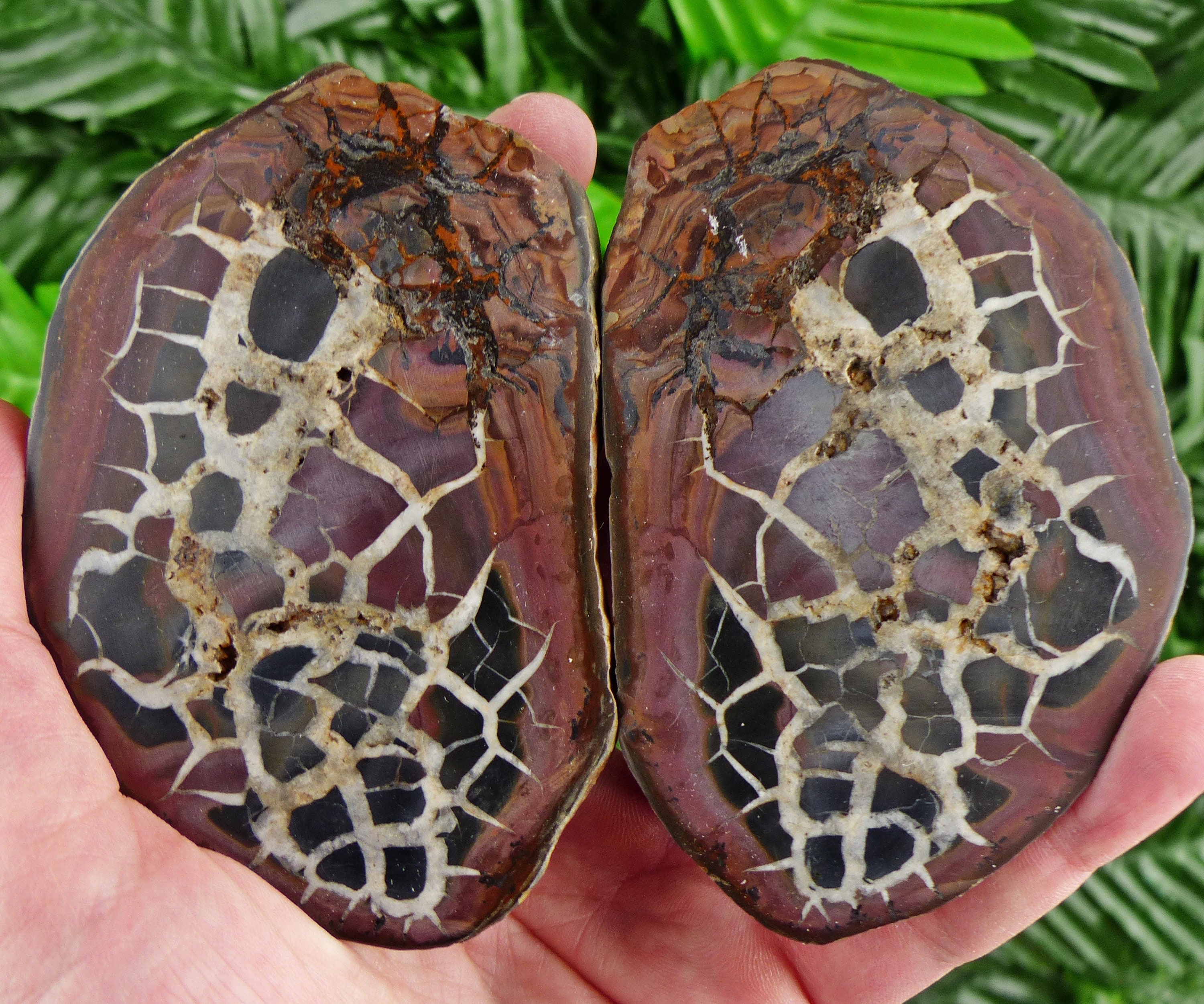 Big Septarian Nodule, Raw Crystal, Natural Mineral, Healing