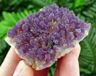 Amethyst, Rare Amethyst, Raw Crystal, Natural Mineral, Healing Crystal, Mineral Specimen, Crystal Cluster, Chala Mine Bulgaria