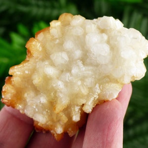 Seltenes Fundstück! Erstaunlicher gelber Calcitkristall, roher Kristall, natürliches Mineral, Heilungskristall, Spiritualitätkristall, Mineralprobe B2898