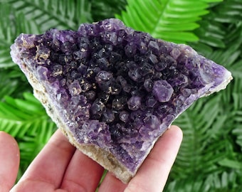 Rare Deep Purple Amethyst from Bulgaria, Amazing Color, Crystal, Mineral, Amethyst Crystal, Amethyst Mineral, Amethyst Cluster B1136