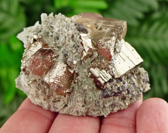 Quartz, Pyrite Cube, Cluster, Natural Mineral, Specimen, Raw Crystal, Collector Gift,  Geology, Borieva Mine Bulgaria, Madan Ore Field S211