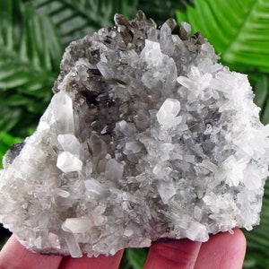 Rare Quartz with Chlorite, Raw Crystal, Natural Mineral, Natural Crystal, Quartz Cluster, Chlorite B446