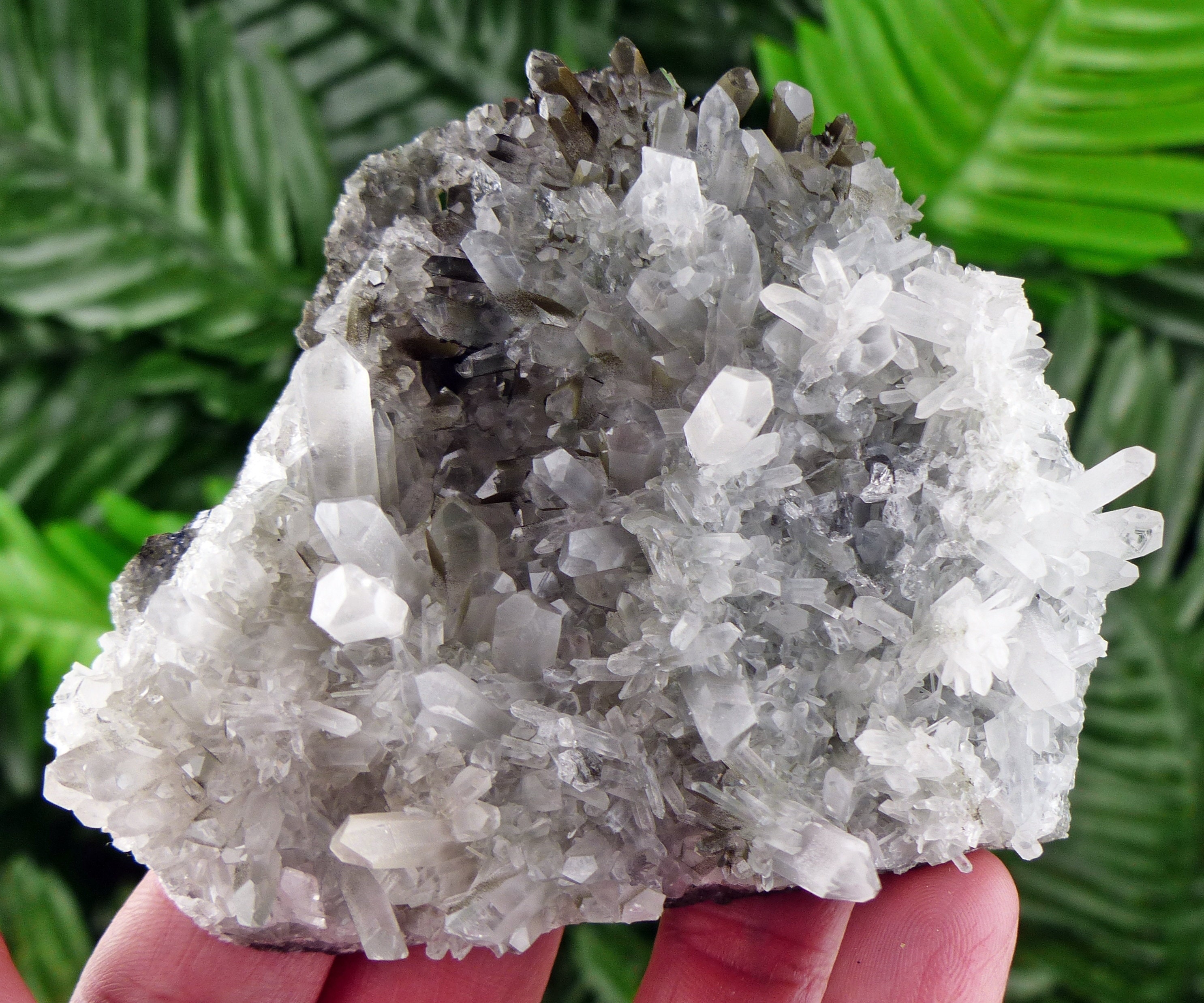 希少な緑泥石入りクォーツ、原石、天然鉱物、天然水晶、クォーツ