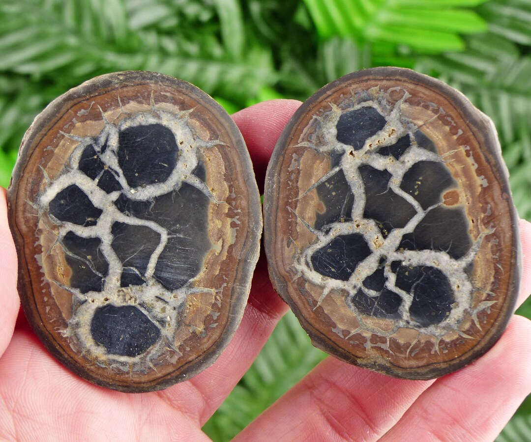 Dragonstones Pair, Septarian Nodule Geode, Septaria, Dragonstone ...