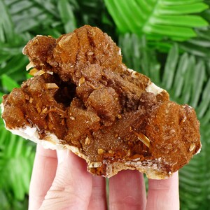Może przedstawiać: Zbliżenie okazu mineralnego z skupiskiem brązowych, krystalicznych formacji. Minerał ma szorstką, teksturowaną powierzchnię z małymi, jasno zabarwionymi kryształami. Podstawa jest biała.
