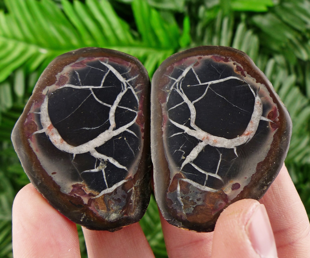Septaria Geode Dragonstones Pair, Septarian Nodule Geode, Septaria, Dragonstone ...