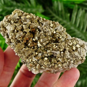 Top Quality Quartz with Pyrite, Crystals, Minerals, Natural Crystals, Pyrite, Fool&#39;s Gold, Clear Quartz, Quartz Crystals