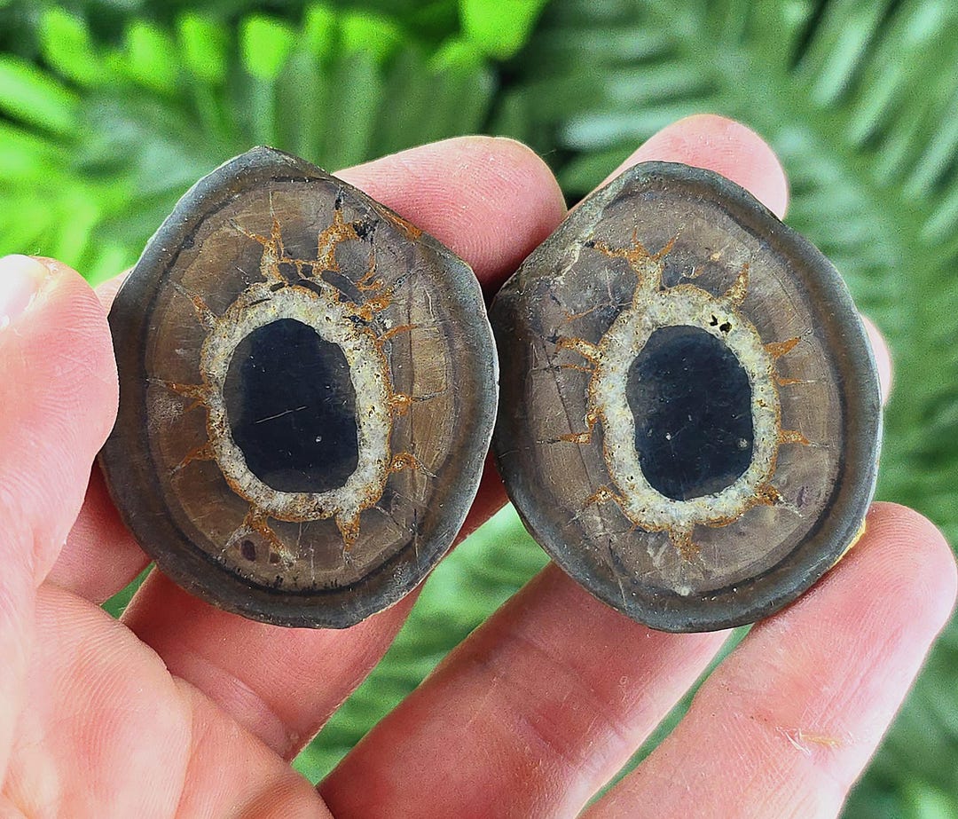 Dragonstones Pair, Septarian Nodule Geode, Septaria, Dragonstone ...