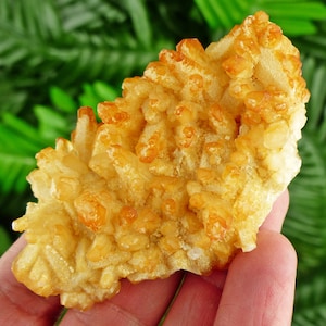Seltenes Fundstück! Erstaunlicher gelber Calcitkristall, roher Kristall, natürliches Mineral, Heilungskristall, Spiritualitätkristall, Mineralprobe B2426