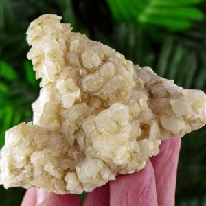 Seltene Calcit-Kristallisation, rohes Mineral, natürlicher Kristall, rohe Kristalle, Calcit-Kristall B648