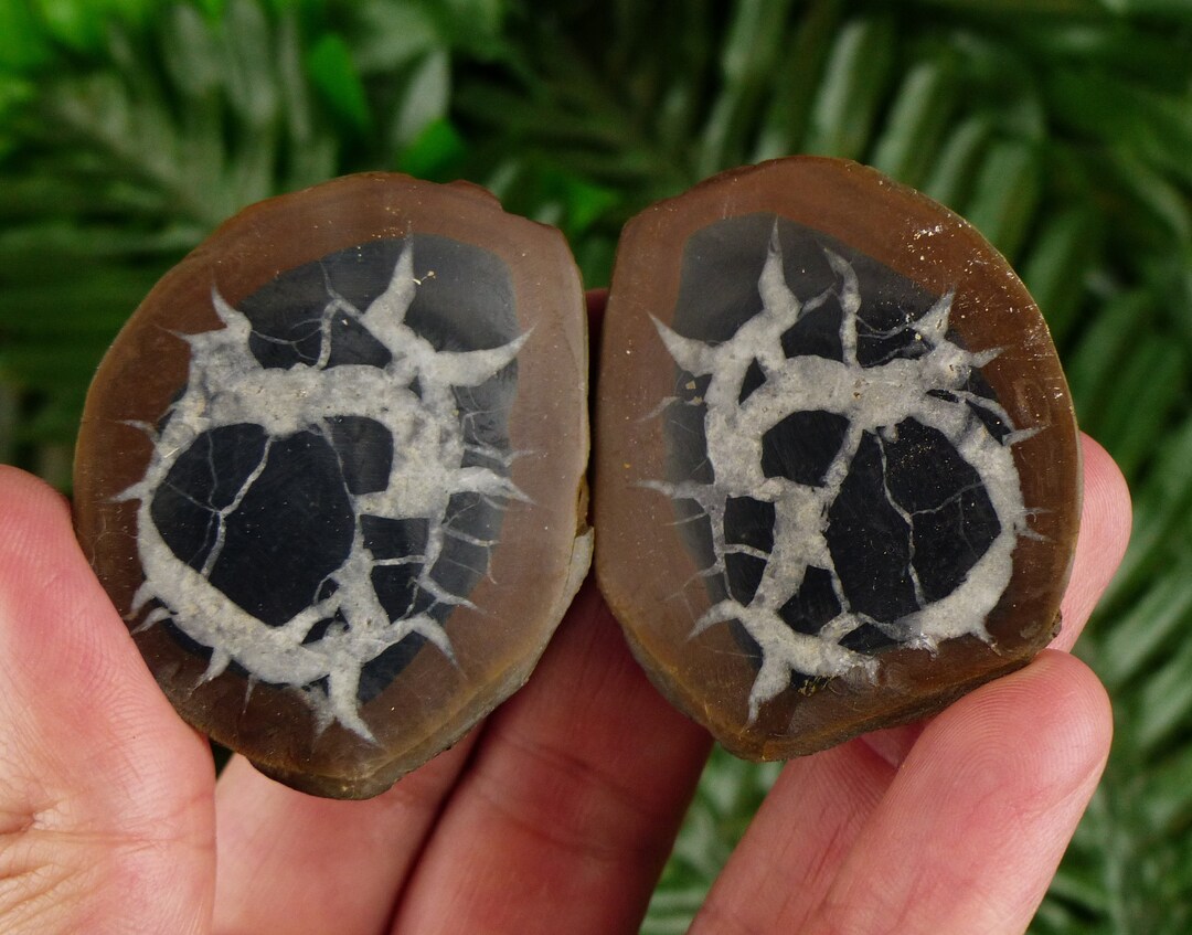 Rare Dragonstones Pair, Septarian Nodule Geode, Septaria, Dragonstone ...
