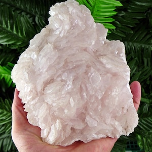 Fluorescent Pink Manganoan Calcite – Krushev Dol Mine, Madan Bulgaria , Large Natural Crystal Specimen for Collection & Décor B3667